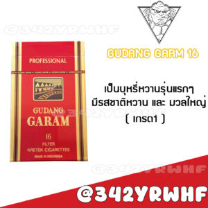 Gudang Garam 16 (กาแรม 16 มวน ) เกรด 1