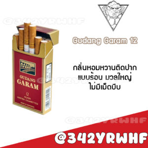 Gudang Garam